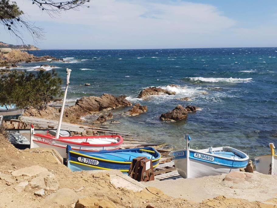Les Geraniums, Bel Appartement Renove, Proche Plage Et Commerces La Seyne-sur-Mer Bagian luar foto