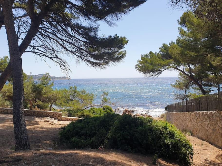 Les Geraniums, Bel Appartement Renove, Proche Plage Et Commerces La Seyne-sur-Mer Bagian luar foto