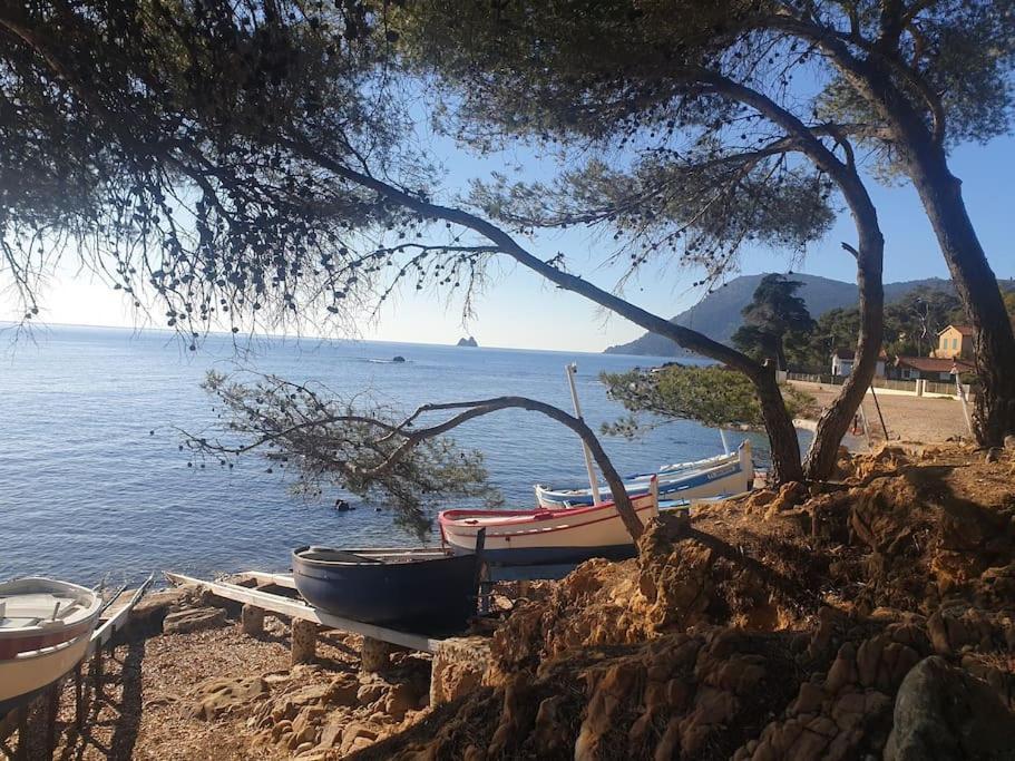 Les Geraniums, Bel Appartement Renove, Proche Plage Et Commerces La Seyne-sur-Mer Bagian luar foto